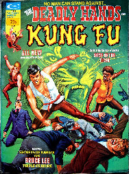 the deadly hands of kung fu
